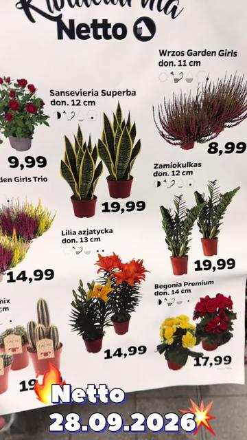 @maciej.plants