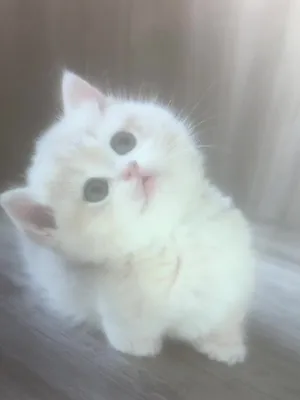 @uhgfr5