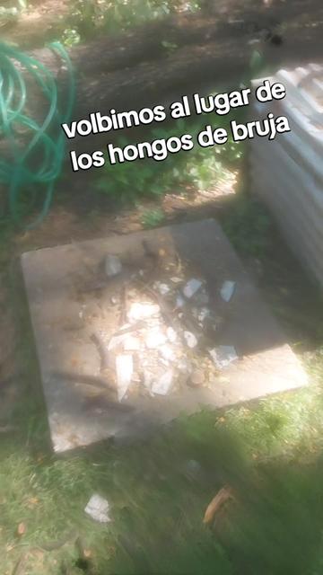 @Reliquia Dominicana