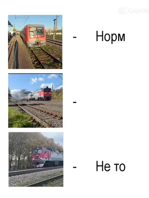 @SHPROTT FROM SHAHOVSKAYA
