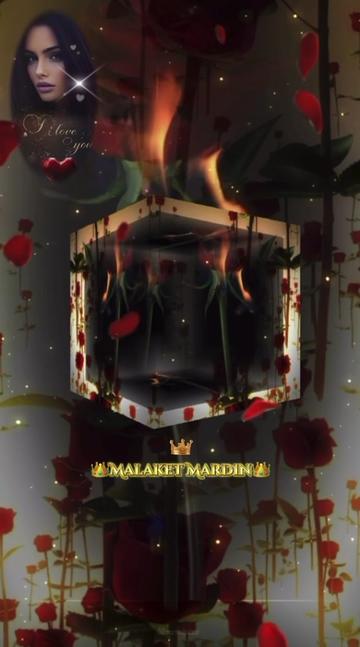 @❤️🌹👑Malaket Mardin👑🌹❤️