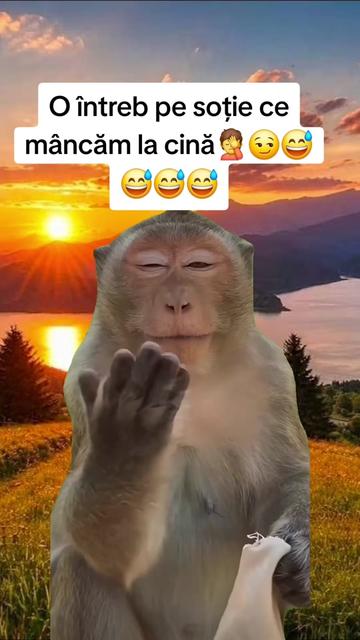 @Irimia Vasilică