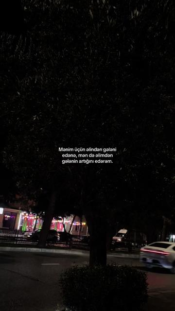 @nezerows⚡️