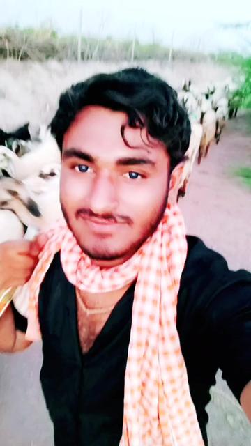 @P K Aal. 105
