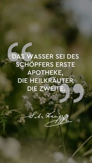 @Kneipp