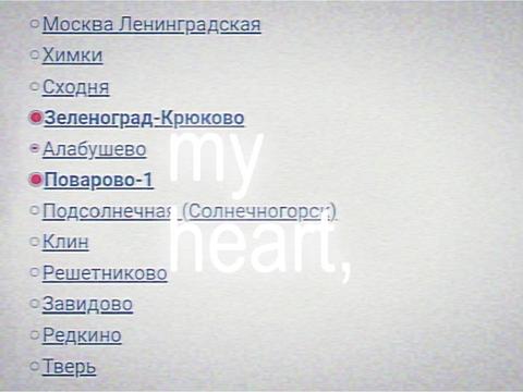 @vdogonky ♿