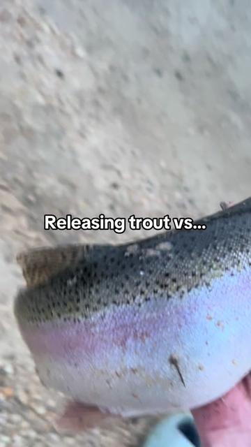 @FattBassFishing