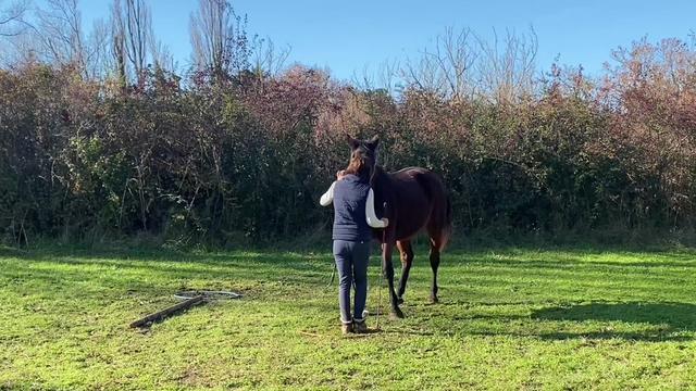 @Horsewoman Trip