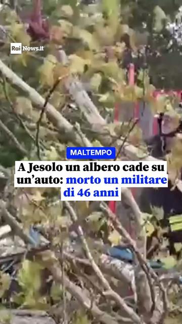 @RaiNews