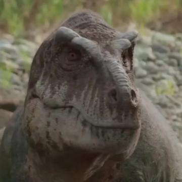 @Acrolog🦎🌱