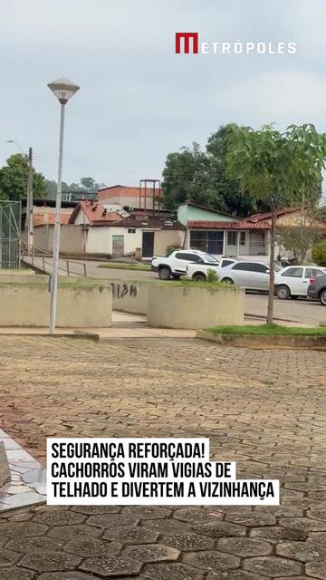 @Metrópoles Oficial
