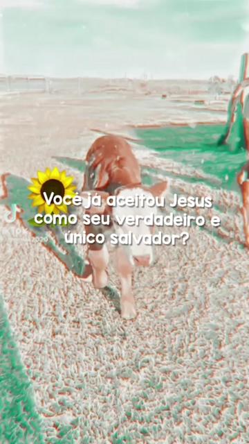 @↳𝗦𝘂 ◡̈┊⁀➷10.7k🌷!