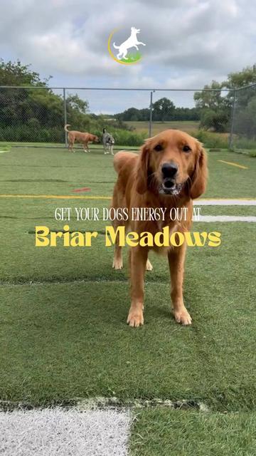 @briar.meadows