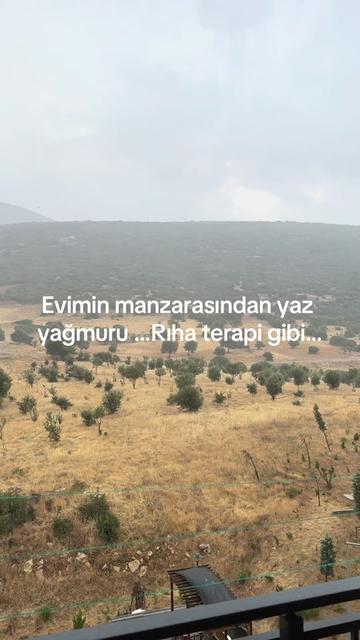 @Eylem Şenkaya