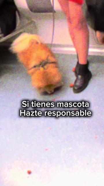 @Kat