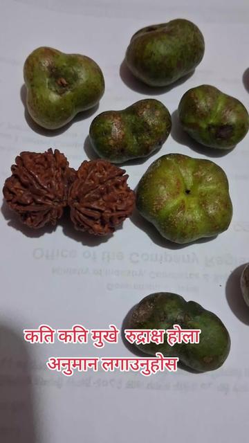 @prakash  khawash