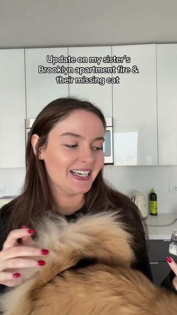 @Cleo the City Kitty