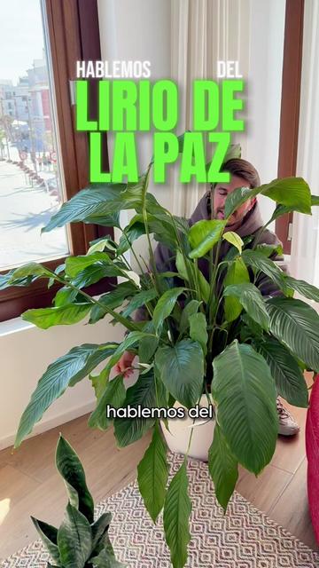 @Ypikue