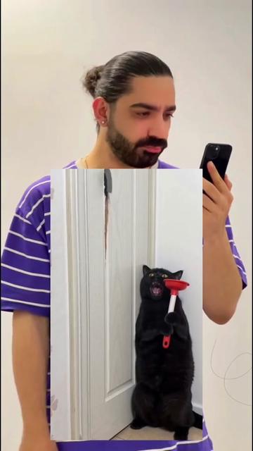 @Huahua