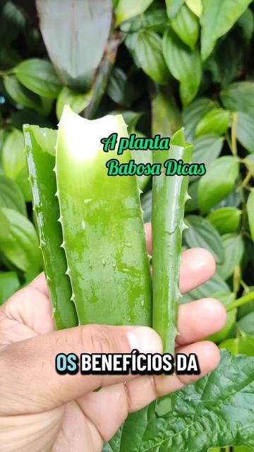 @natureza e saúde