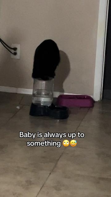 @Tasha