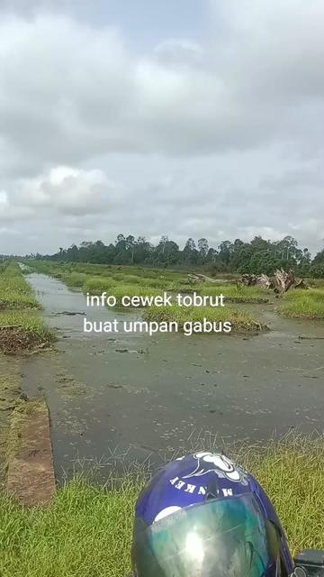 @beton22