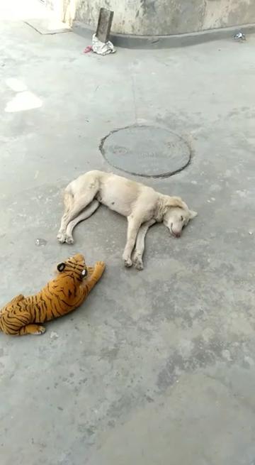 @chetan_prajapati4447