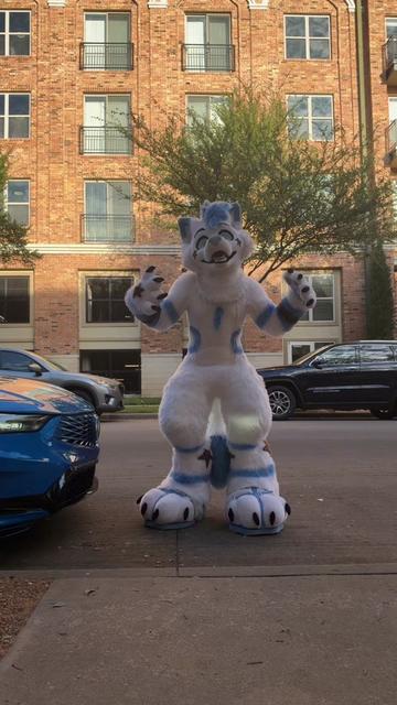 @BlueFoxNova