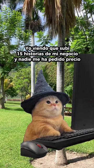 @RODRIGO GAYA / BIENES RA&Iacute;CES