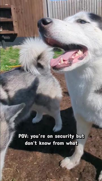 @Freya & Kuma