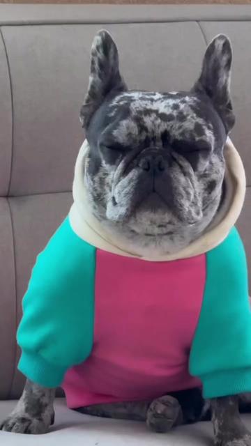 @Fly Lil Frenchie From OKC