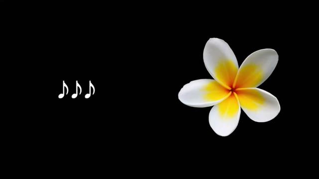 @𝐋𝐲𝐧𝐱.
