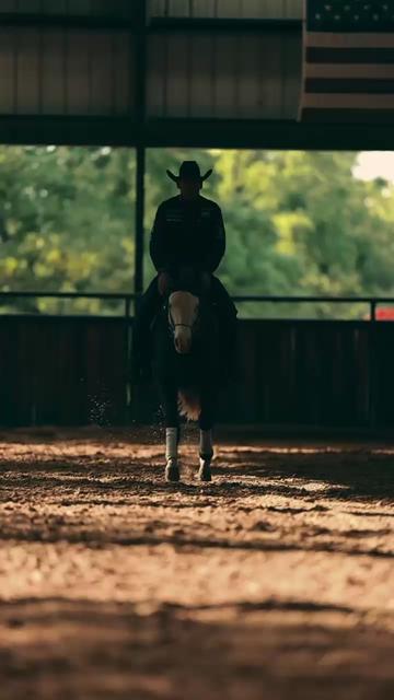@Larson Performance Horses
