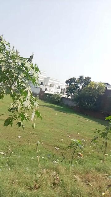 @Bushra786