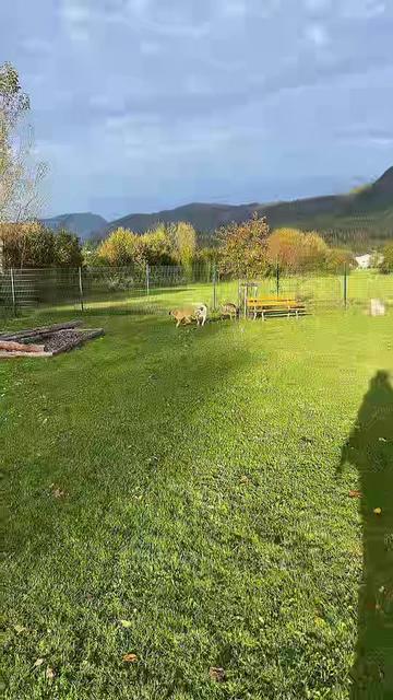 @Mountain Hill Ranch 🇦🇹