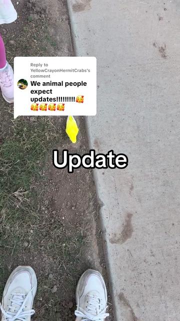 @LOLLEXI