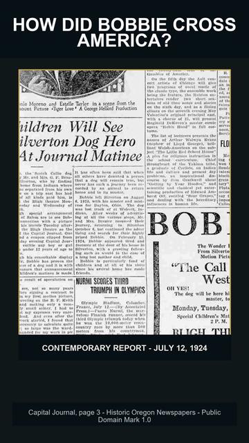 @Animals That Made History