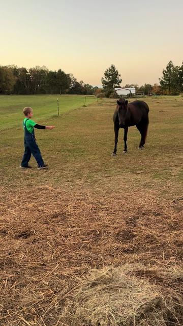 @Gray Acres Homestead