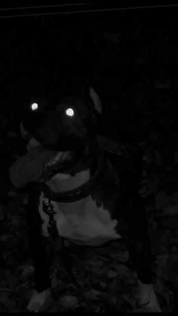 @𝔑𝔞𝔰𝔱𝔶𝔲𝔨𝔥𝔞
