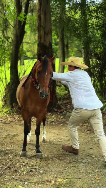 @Experiencias Equinas