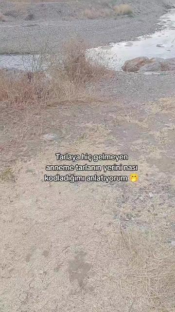 @Esin Nur
