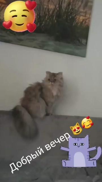 @Ainagul
