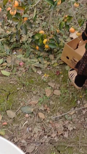 @@Tamila.(((Dagestan))).