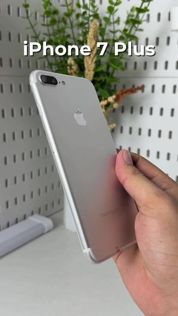@iPhonary 🩷