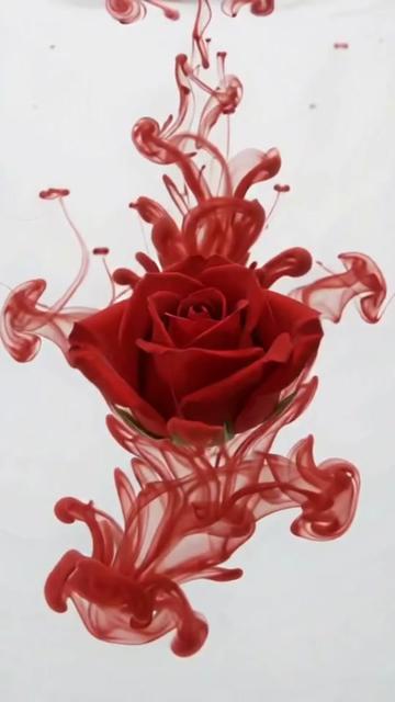 @floradigital