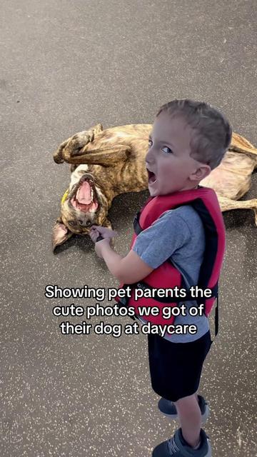 @Dogtopia South Ann Arbor