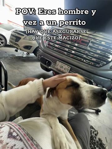 @Fredi&ntilde;o_racing