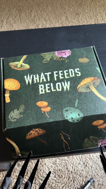 @thebuffwriter