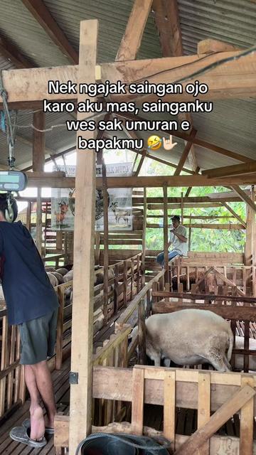 @DhanniaFarm