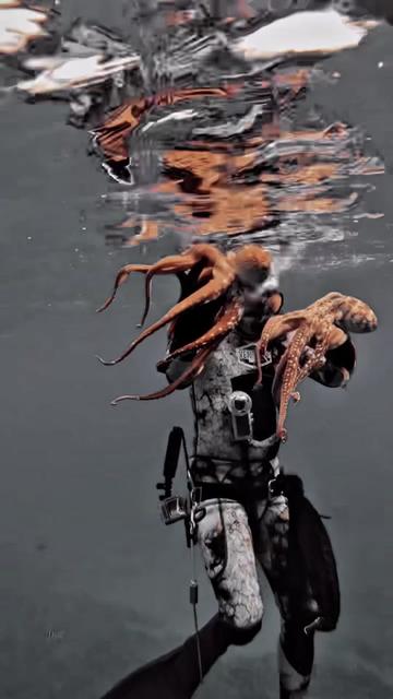 @Venture Wetsuits
